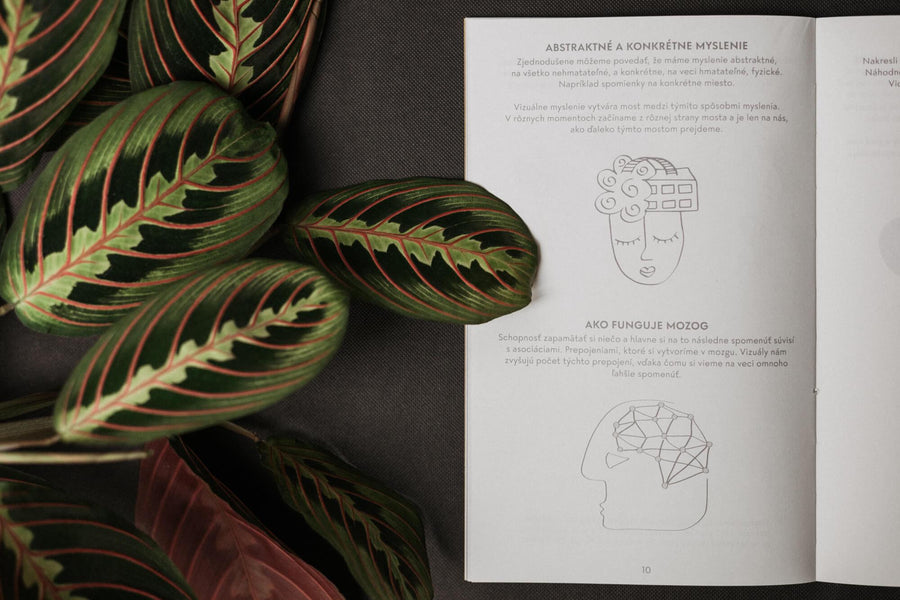 Visual thinking
