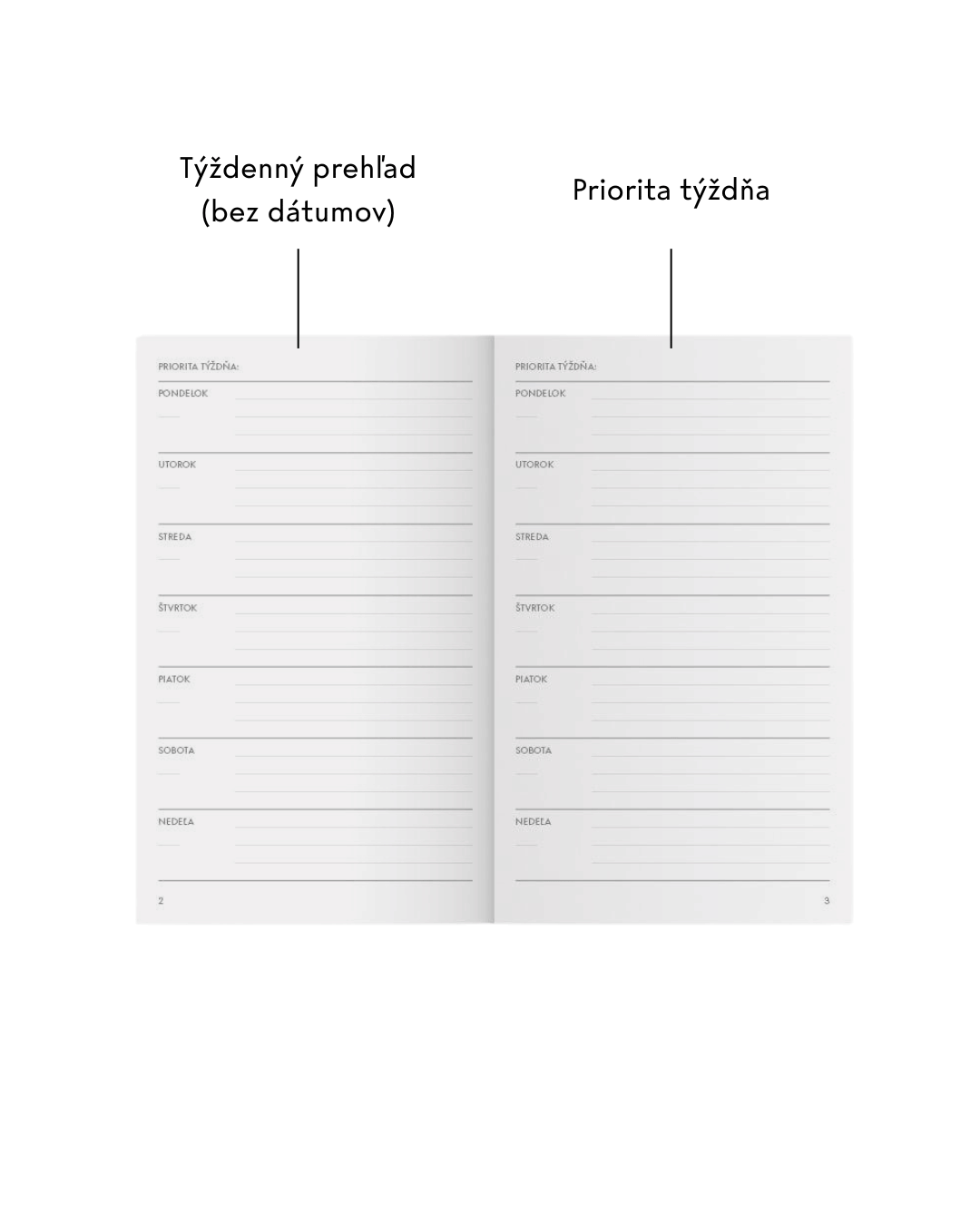 Weekly diary
