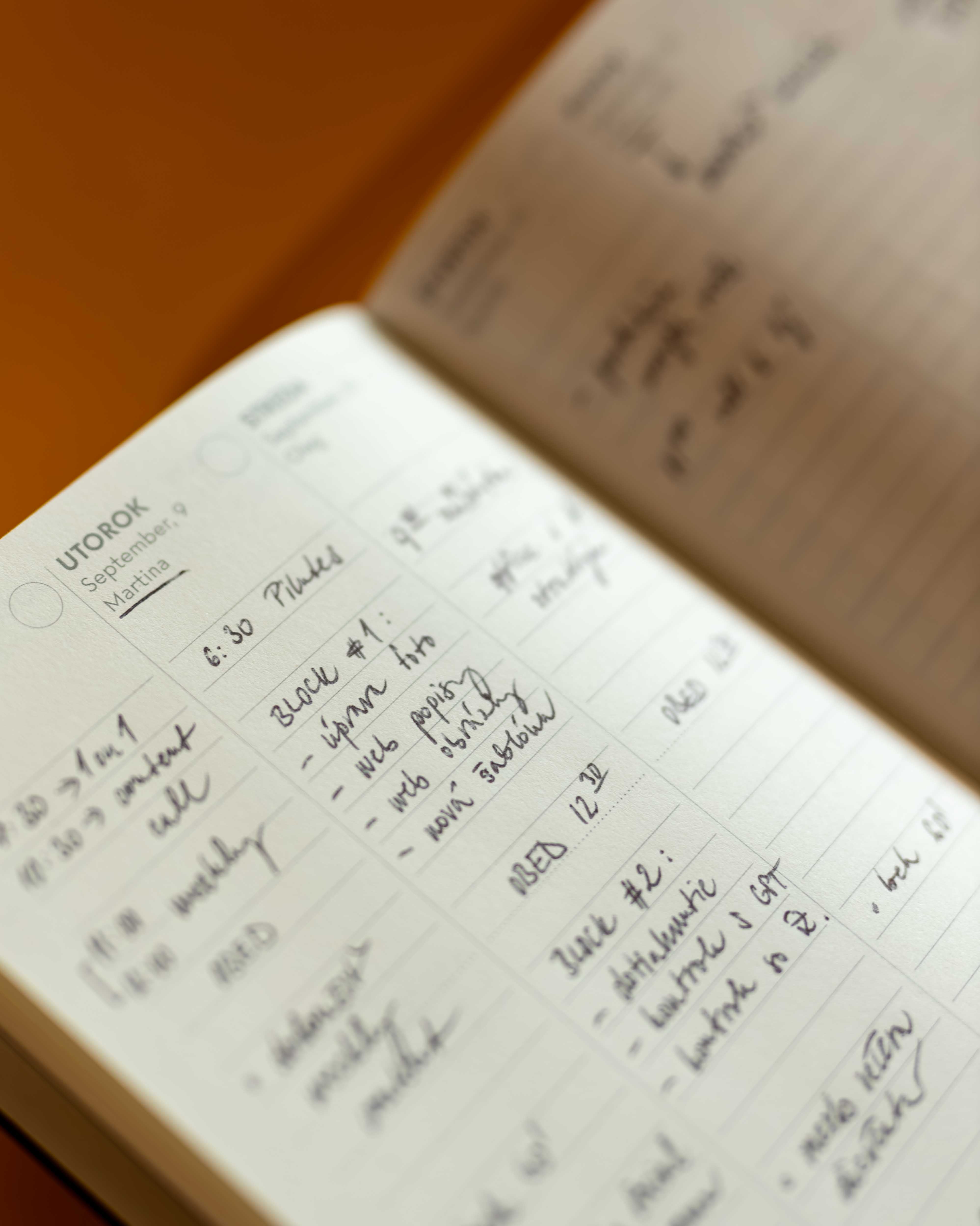 School diary 24/25